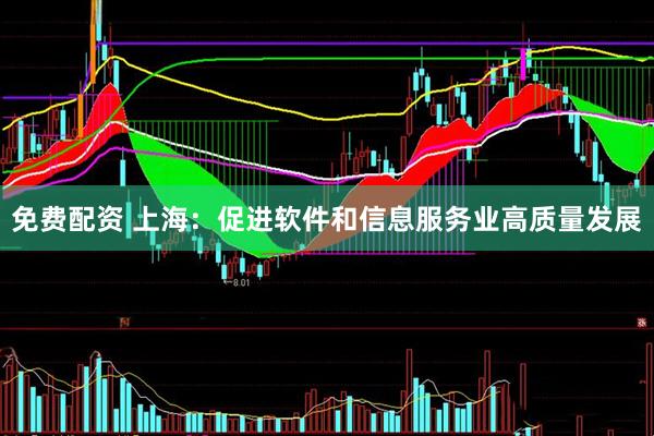 免费配资 上海：促进软件和信息服务业高质量发展