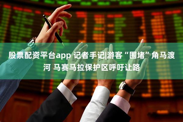 股票配资平台app 记者手记|游客“围堵”角马渡河 马赛马拉保护区呼吁让路