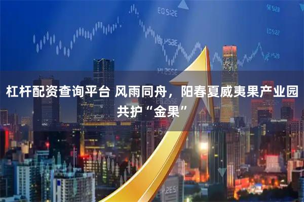 杠杆配资查询平台 风雨同舟，阳春夏威夷果产业园共护“金果”