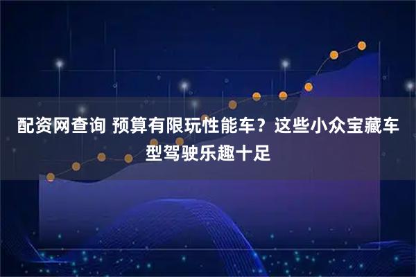 配资网查询 预算有限玩性能车？这些小众宝藏车型驾驶乐趣十足