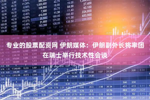 专业的股票配资网 伊朗媒体：伊朗副外长将率团在瑞士举行技术性会谈